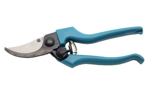 Blue Gardening Shears