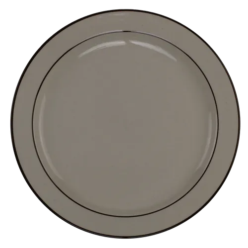 Cream Speckled Espresso Rim Dinner Plate