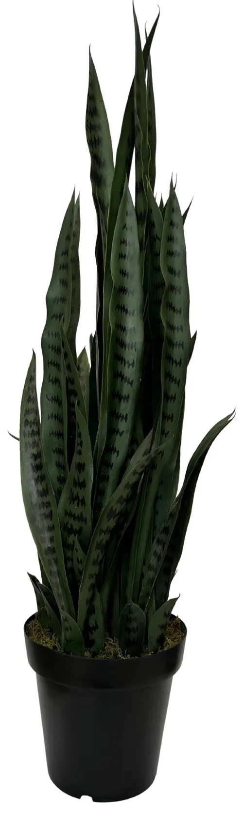 Artificial Snake Plant