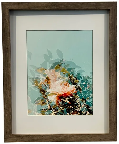 Floral Shadow In Wood Frame