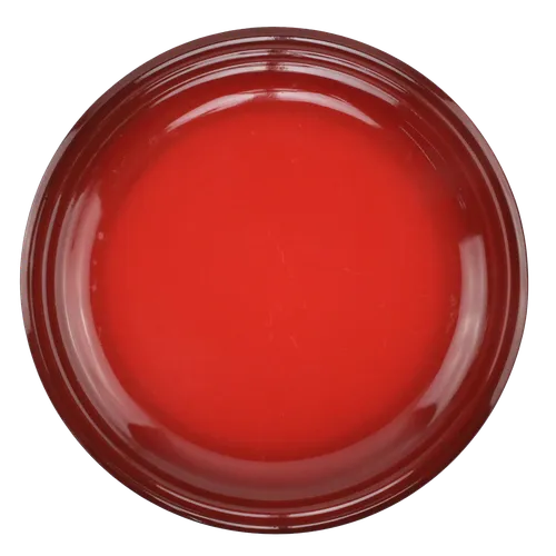 Burnt Red Dinner Plate