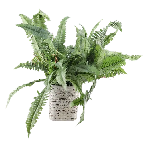 Artificial Boston Fern In Grey Rusted Tin Pot