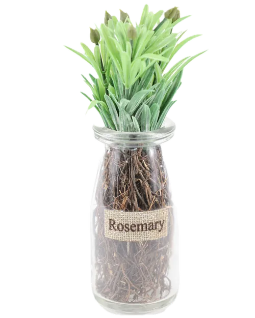 Artificial Rosemary In Jar
