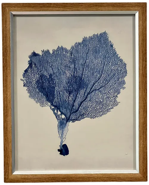 Blue Indigo Seaweed VII In Wood Frame