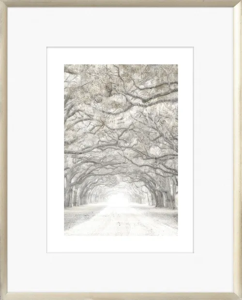 Taupe Toned Tree Photograph With Gold Frame