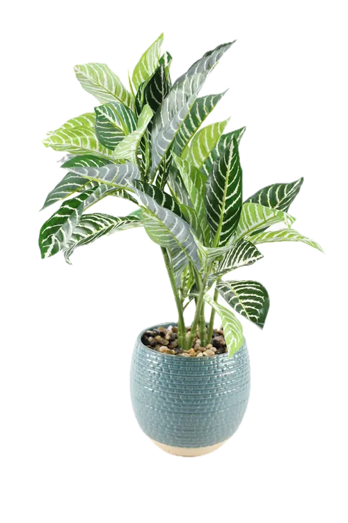 Artificial Zebra Plant In Turquoise Pattern Ceramic Pot