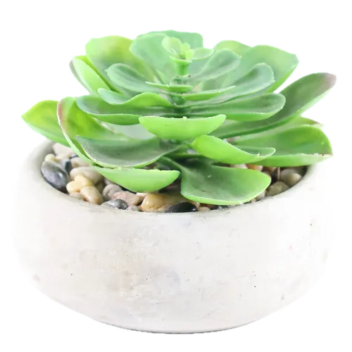 Artificial Tree Aeoiumn Succulent Plant In Stone Pot