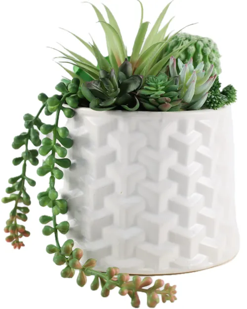 Artificial Succulent Plants In Tall Tapered White Ceramic Weave Pattern Pot