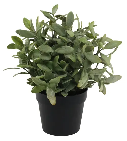 Artificial Tea Leaf Plant With Black Pot 