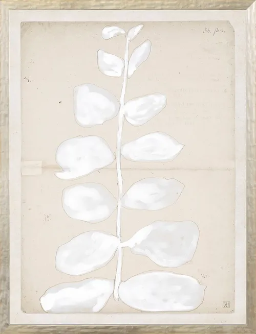 White Petal Drawing On Paper With Wood Frame