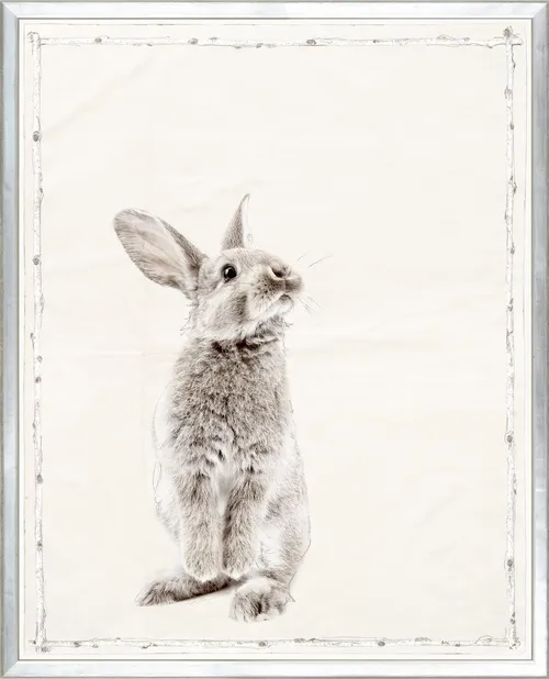 Standing Bunny Photograph With Silver Frame