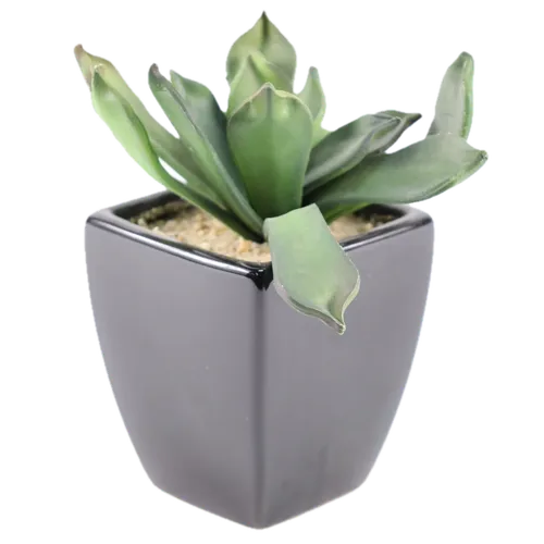 Artificial Walking Kalanchoe Succulent Plant In Black Ceramic Pot
