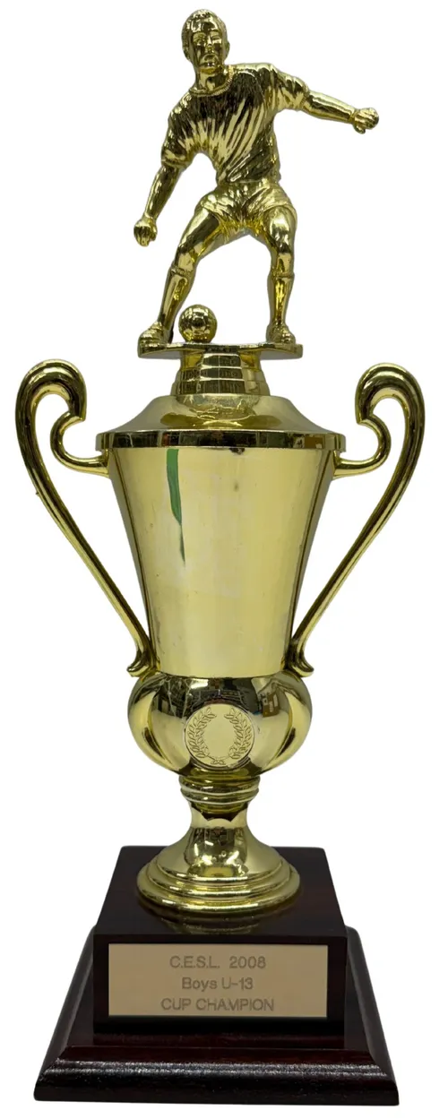 Soccer Trophy On Wood Base