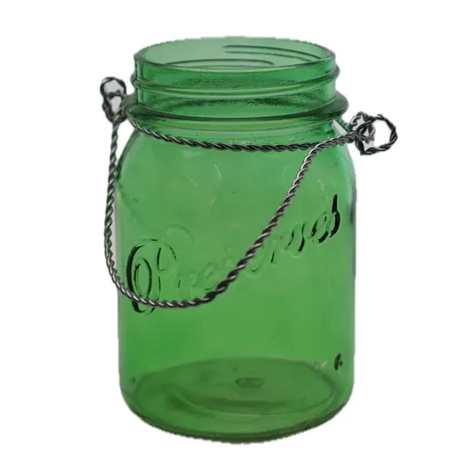Clear Green Glass Jar Preserved Vase