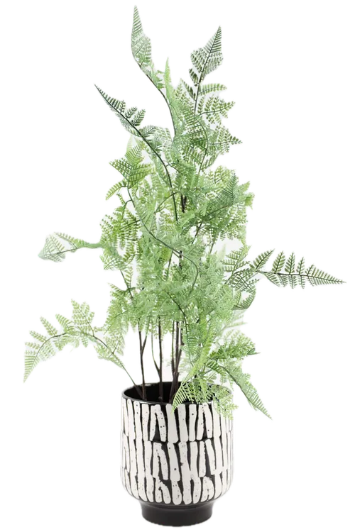 Artificial Squirrel's Foot Fern Plant In Black & White Ceramic Pot