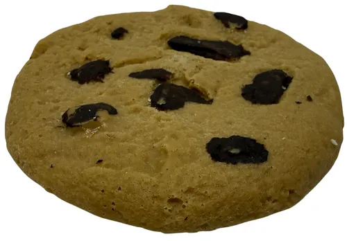 Artificial Chocolate Cookie