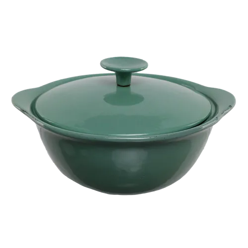 Lucite Green Cast Iron Dutch Oven With Lid