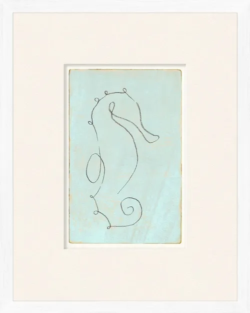 Line Drawing Seahorse On Paper With White Frame