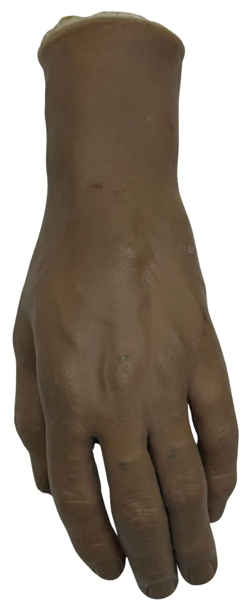 Human Hand Foam Replica Model