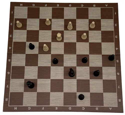 Portable Chess Board Set