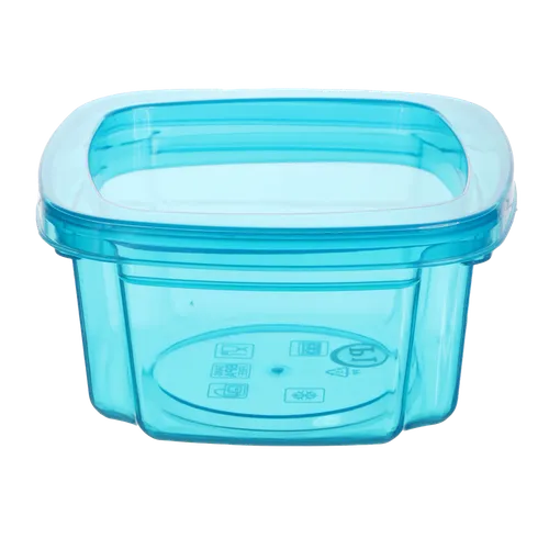 Clear Blue Plastic Storage Container