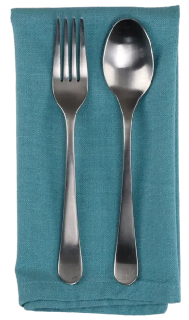 Vintage Aqua Blue Napkin