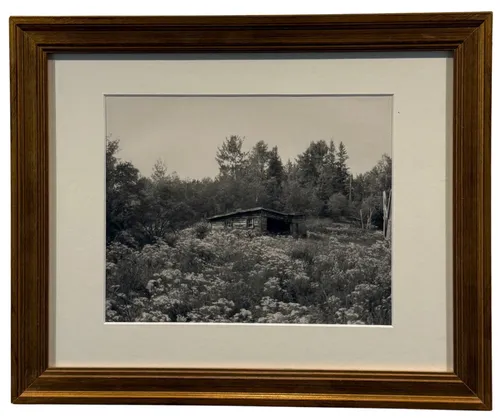 Black & White Rustic Woodland Cabin Photograph In Gold Frame