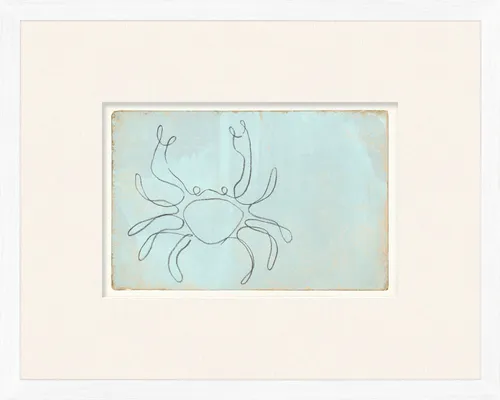 Line Drawing Crab On Paper With White Frame