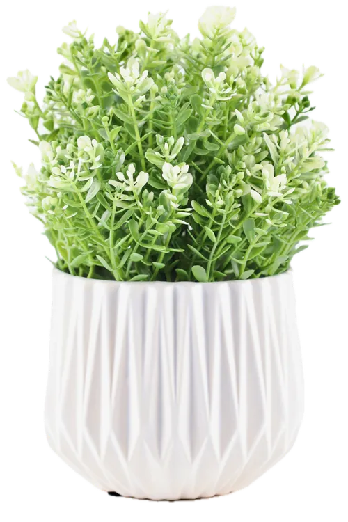 Artificial Coyote Bush Plant In White Ceramic Geometric Pot