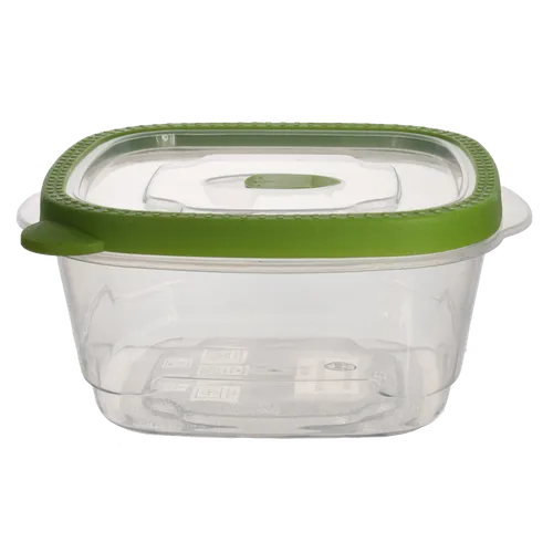Pickle Green & Clear Reusable Container With Lid - Medium
