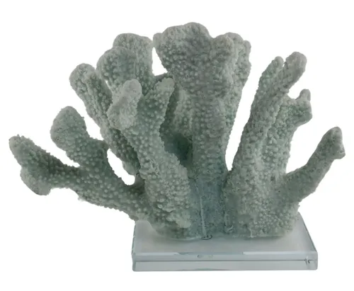 Light Blue Coral On Glass Base