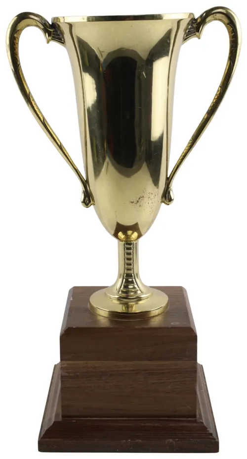 Gold Trophy Cup On Dark Wood Base