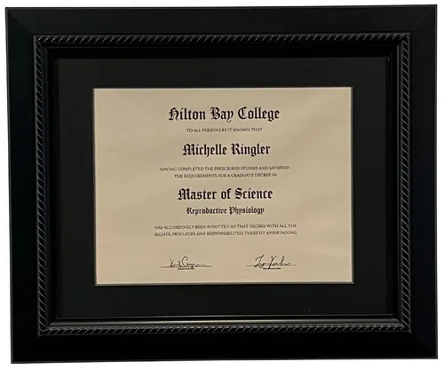 Master Of Science Diploma In Black Frame