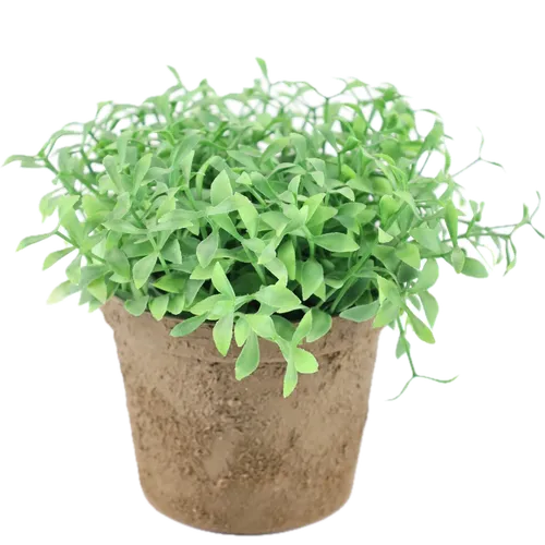 Artificial Bayberry Plant In Brown Rough Finish Pot