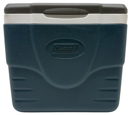 Blue 9qt Portable Cooler