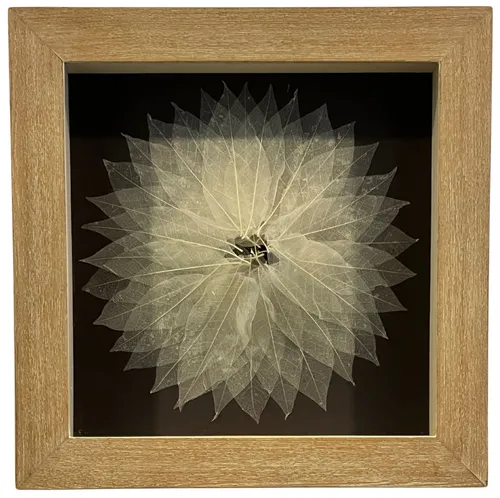 Leaf Wreath In Wood Shadowbox Frame