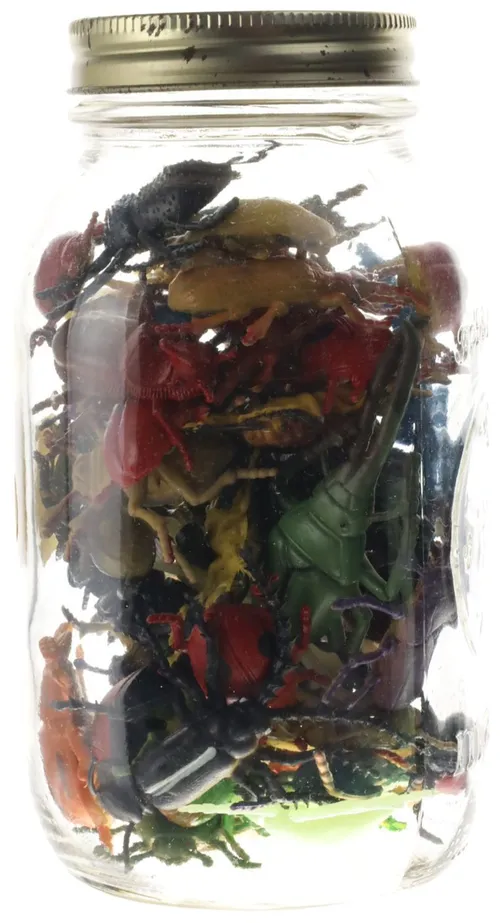 Clear Glass Jar With Assorted Beetles & Insects