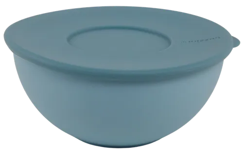 Blue Plastic Reusable Storage Bowl With Lid