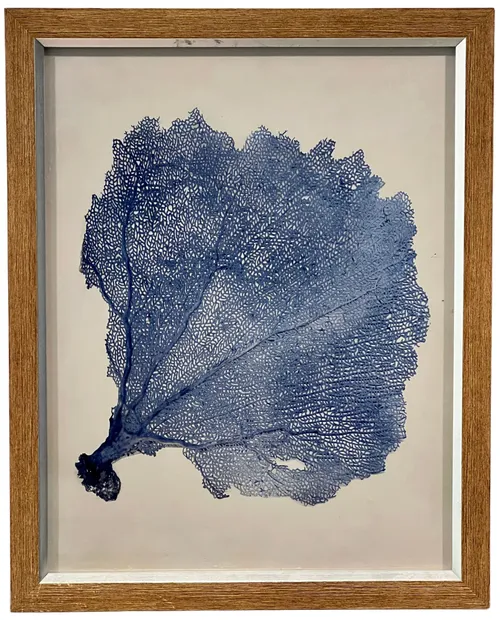 Blue Indigo Seaweed III In Wood Frame