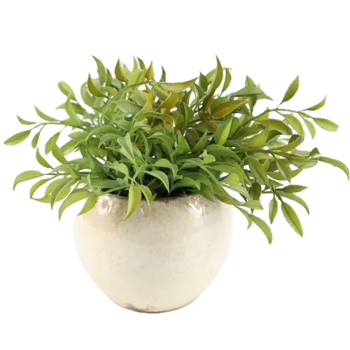 Artificial Butcher's Broom Plant In Beige Ceramic Pot
