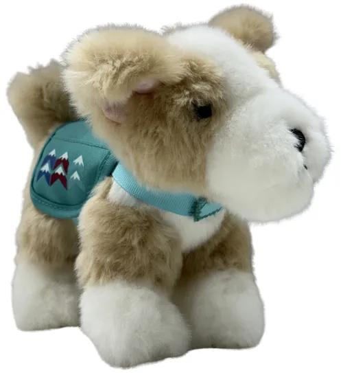 Dog With Backpack
