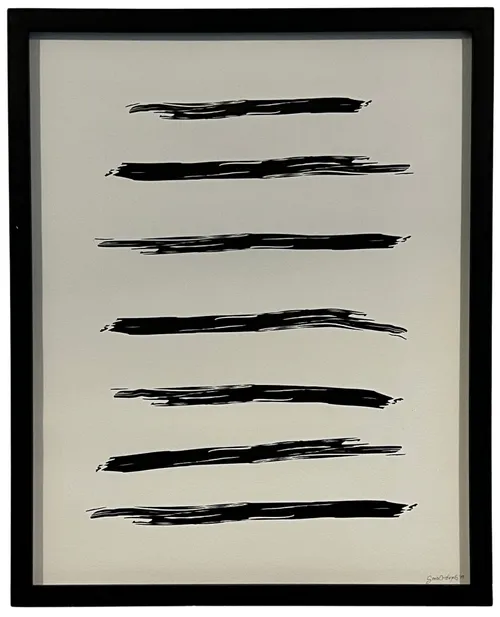 Horizontal Black Lines In Black Frame