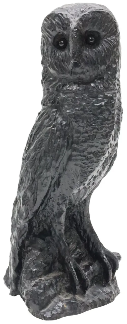 Charcoal Owl On Branch