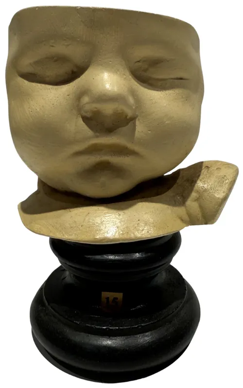  Phrenological Anatomical Head Model On Base