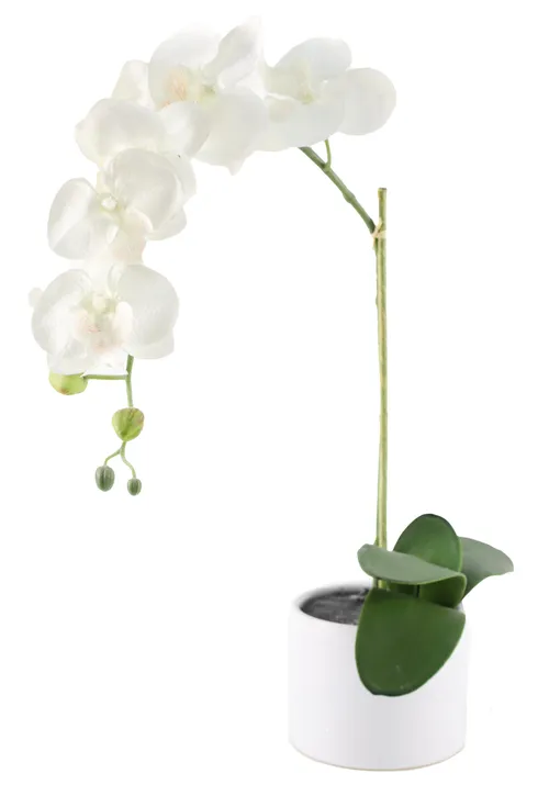 Artificial White Orchid In White Ceramic Pot