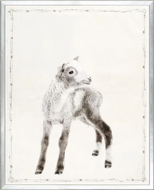 Goat Photograph With Silver Frame
