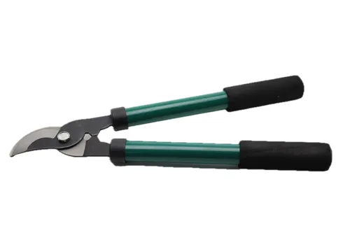 Green Garden Shears Tool