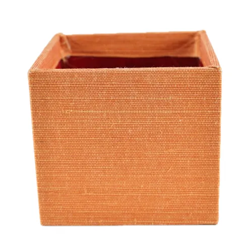 Orange Grass Box Plant Pot