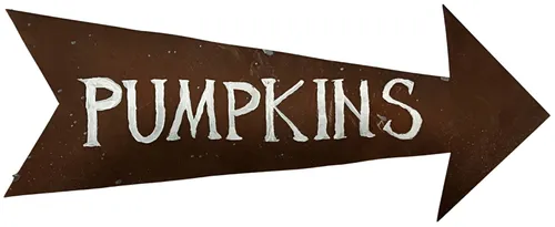 Brown Pumpkins Arrow Sign On Wood