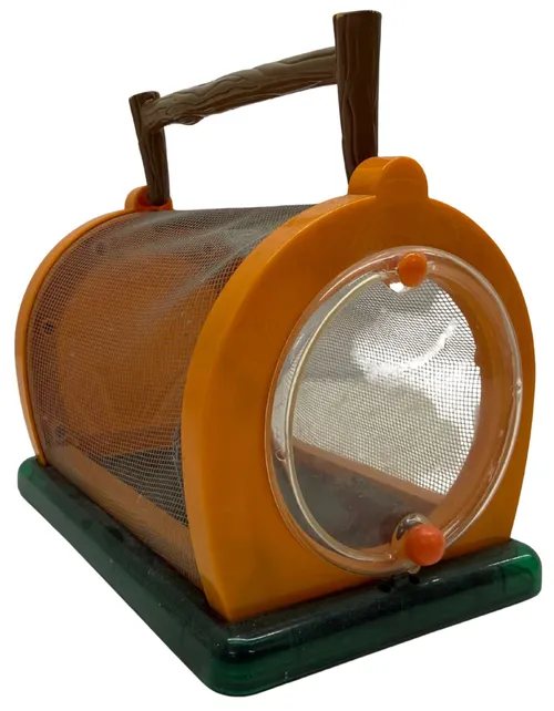 Orange & Green Bug House